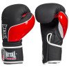 Gants de Boxe Entrainement Club Line