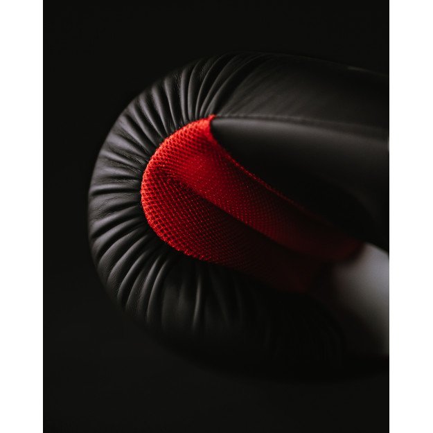 Gants de Boxe Entrainement Club Line