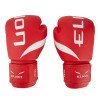 Gants de Boxe Entraînement Elion Extravagant