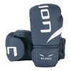 Gants de Boxe Entraînement Elion Extravagant