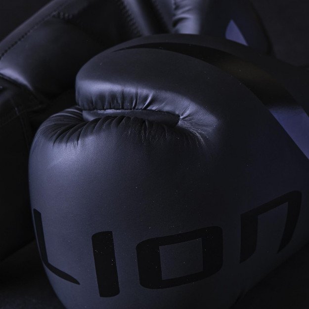 Gants de Boxe Entraînement Elion Extravagant