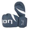 Gants de Boxe Entraînement Elion Extravagant