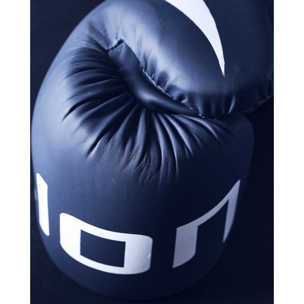 Gants de Boxe Entraînement Elion Extravagant