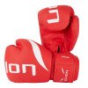 Gants de Boxe Entraînement Elion Extravagant