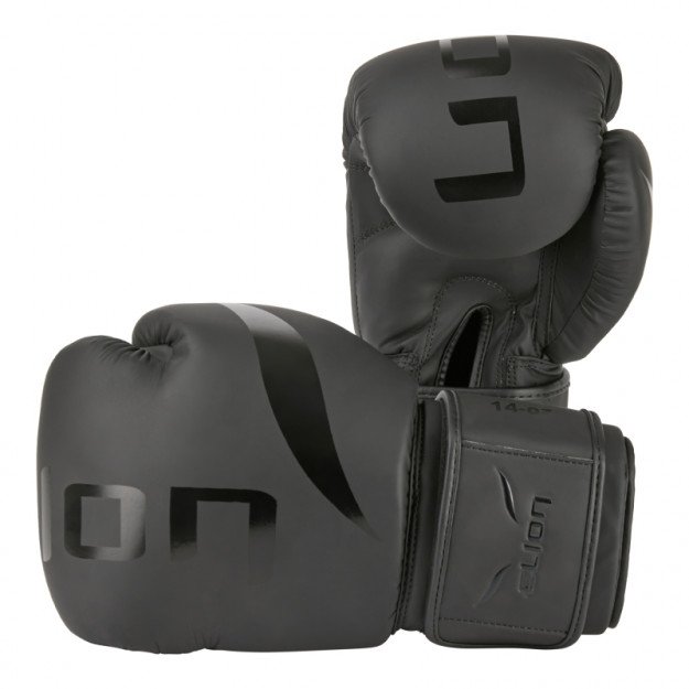 Gants de Boxe Entraînement Elion Extravagant