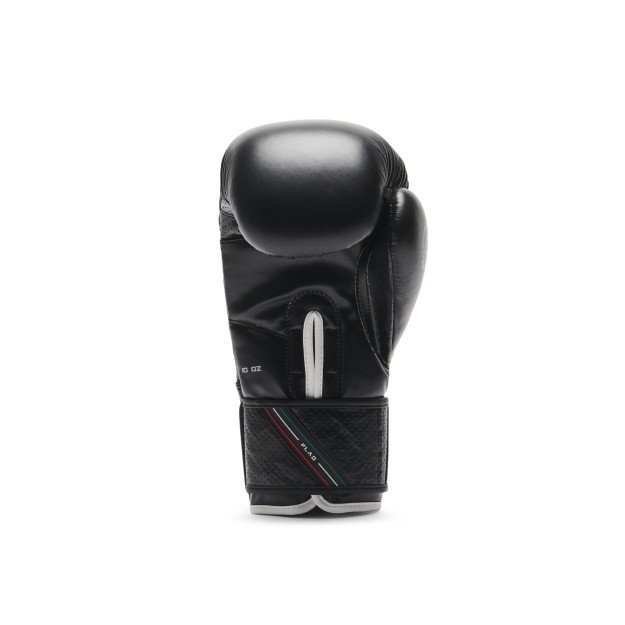 Gants de Boxe Leone Flag