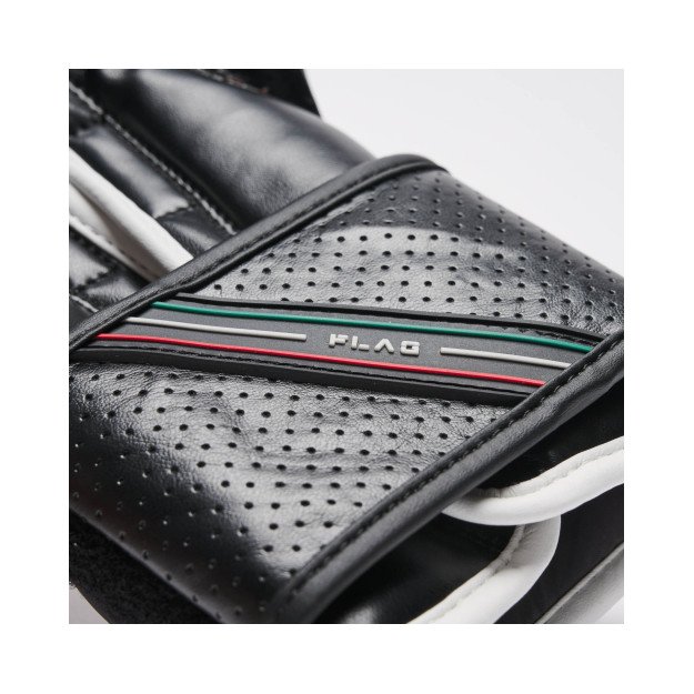 Gants de Boxe Leone Flag