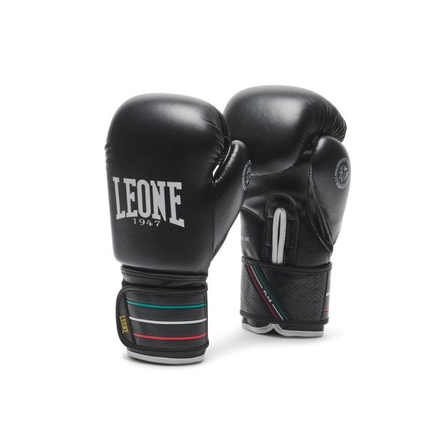 Gants de Boxe Metal Boxe EV1