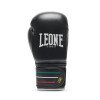 Gants de Boxe Leone Flag