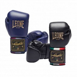 Gants de Boxe Leone Orlando Tricolore