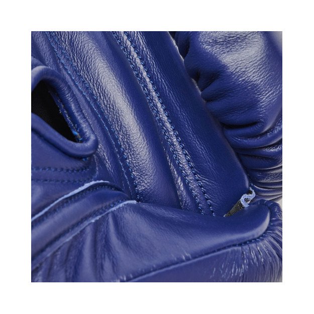 Gants de Boxe Leone Orlando Tricolore