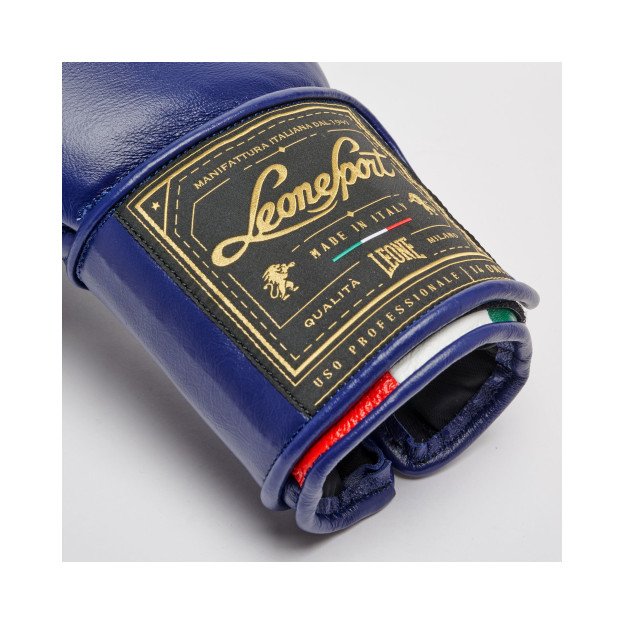 Gants de Boxe Leone Orlando Tricolore