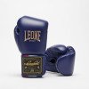 Gants de Boxe Leone Orlando Tricolore