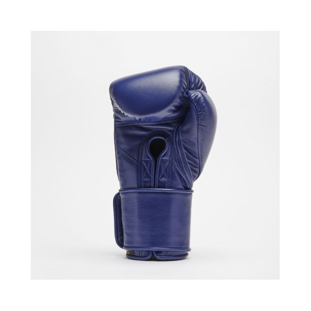 Gants de Boxe Leone Orlando Tricolore