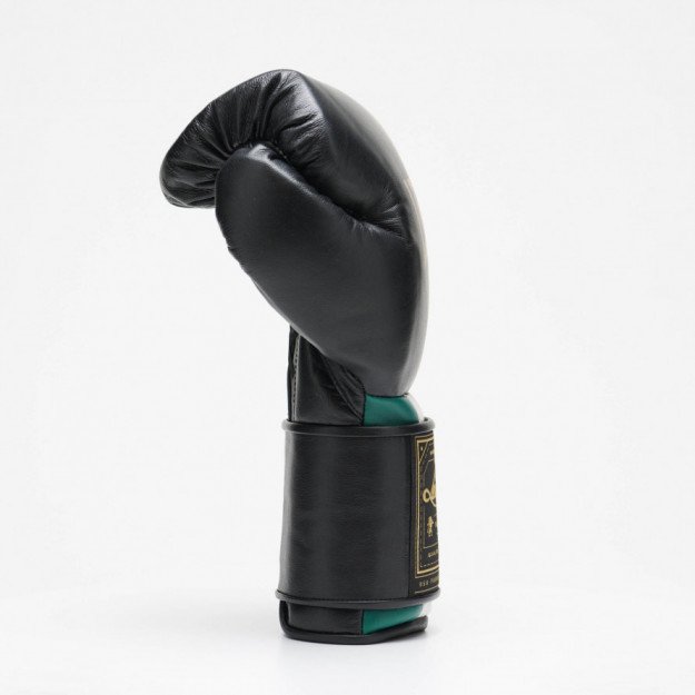 Gants de Boxe Leone Orlando Tricolore