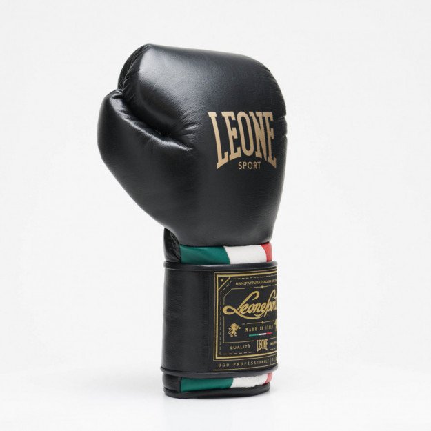 Gants de Boxe Leone Orlando Tricolore