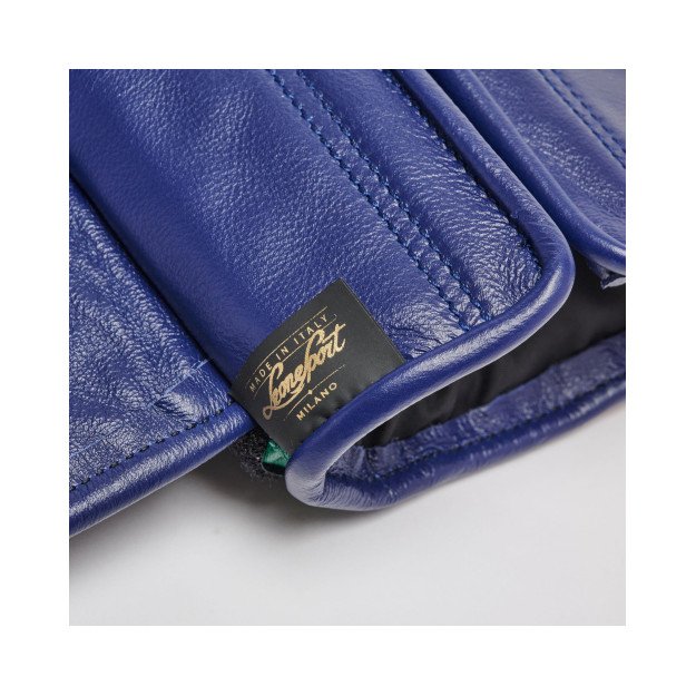 Gants de Boxe Leone Orlando Tricolore