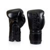 Gants de boxe d'entraînement Fairtex Solid Black