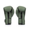 Gants de boxe d'entraînement Fairtex F-Day vert 100% cuir