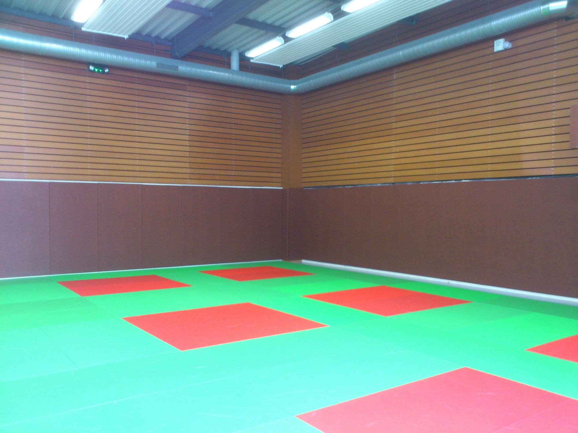 Protection murale M2 de dojo 200 x 100