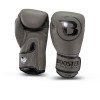 Gants de boxe Booster VX Pro Series