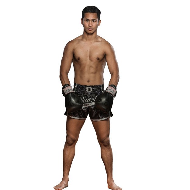 Gants de boxe Booster BGVL V3 Series