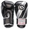 Gants de boxe Booster BGVL V3 Series