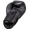 Gants de boxe Booster BGVL V3 Series