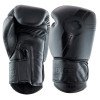 Gants de boxe Booster BGVL V3 Series