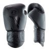 Gants de boxe Booster BGVL V3 Series