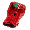 Gants de boxe Booster BGVL V9 Marocco Series