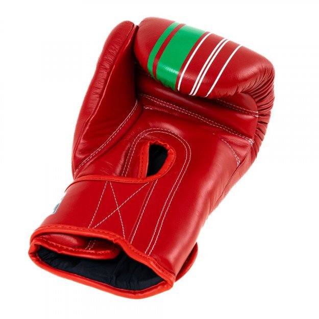 Gants de boxe Booster BGVL V9 Marocco Series