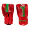 Gants de boxe Booster BGVL V9 Marocco Series