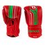 Gants de boxe Booster BGVL V9 Marocco Series