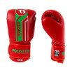 Gants de boxe Booster BGVL V9 Marocco Series