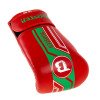 Gants de boxe Booster BGVL V9 Marocco Series