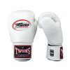 Gants de Boxe Twins BG-N V2