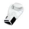Gants de Boxe Twins BG-N V2