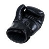 Gants de Boxe Twins BG-N V2