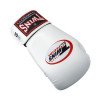 Gants de Boxe Twins BG-N V2