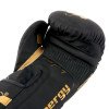 Gants de Boxe Montana Energy