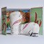 Gants de boxe Naruto Shippuden x Elion Paris Edition Limitée Orochimaru