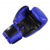 Gants de Boxe Twins BGVL 3-2T Bicolores