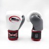 Gants de Boxe Twins BGVL 3-2T Bicolores