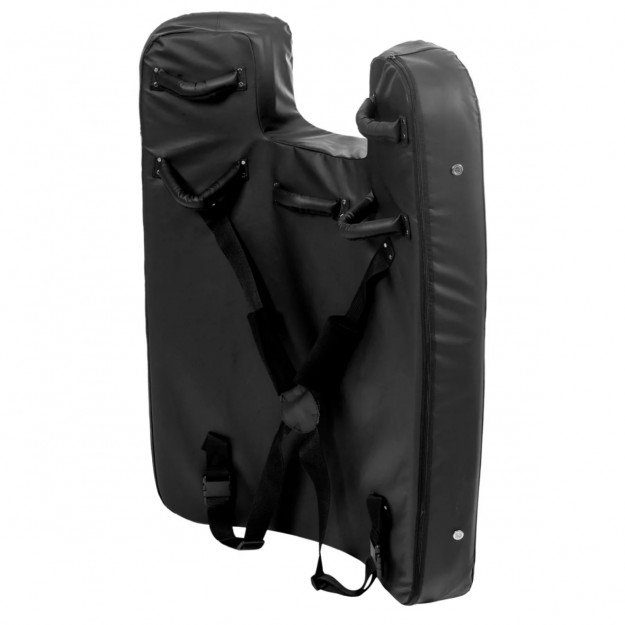 Bouclier de Frappe et Opposition