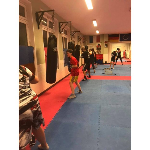 Sac de Frappe Pro Budofight