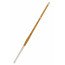 Shinai Enfant taille 36