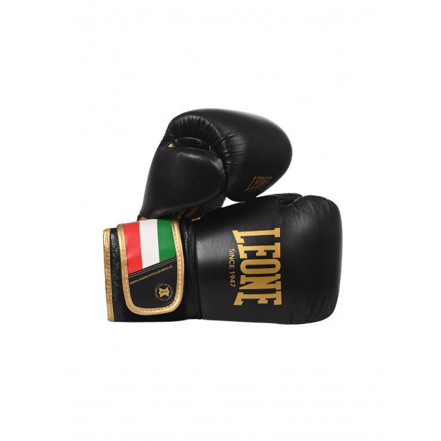 Gants de Boxe Leone Italie