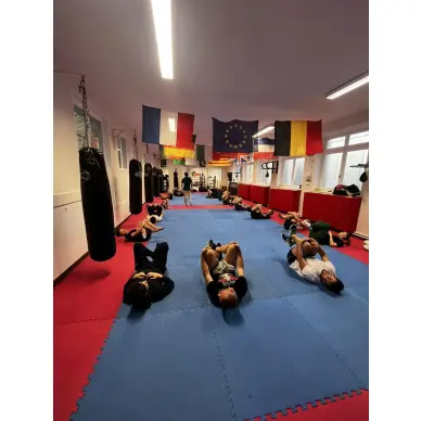 Sac de Frappe Pro Line Budofight - 13