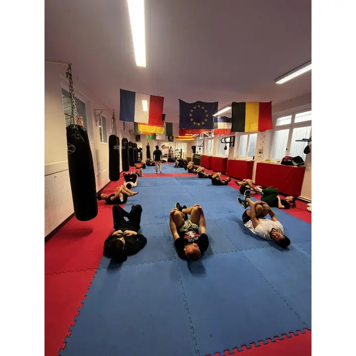 Sac de Frappe Pro Line Budofight